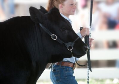Moreton Show