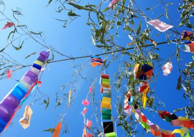 Cheltenham Festivals